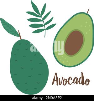 Vector avocado clip art. Jungle fruit illustration. Hand drawn flat exotic plants isolated on white background. Bright childish healthy tropical summe Stock Vector