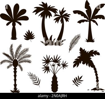 Vector tropical palm trees silhouettes. Jungle foliage black illustration. Hand drawn black exotic plants isolated on white background. Summer trees s Stock Vector