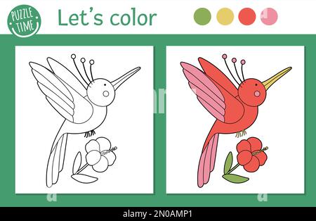 Tropical coloring page for children. Vector humming bird with flower illustration. Cute funny animal character outline. Jungle summer color book for k Stock Vector