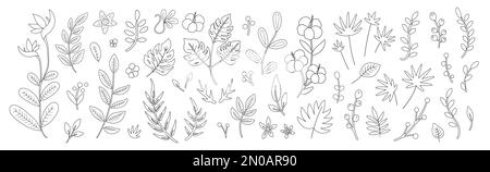 Vector tropical flowers leaves and twigs outlines. Jungle foliage and florals black and white illustration. Hand drawn flat exotic plants sketch. Summ Stock Vector