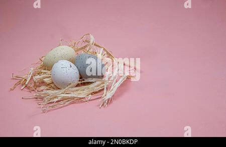 Easter eggs on straw isolated on a pink background. Stock Photo