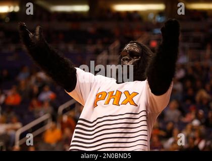 Phoenix Suns mascot the Gorilla exhorts the fans during the game against  the Los Angeles Clippers during the first game of the NBA conference  semifinals in Phoenix, AZ May 8, 2006. (UPI