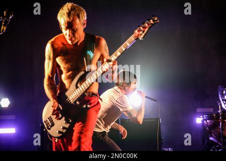 FLEA, JOHN FRUSCIANTE Red Hot Chili Peppers | Rock poster, Tatuagens para  homens, Red hot chili peppers