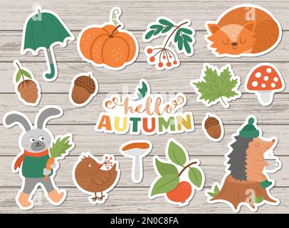 Vector autumn sticker pack. Cute fall season icons set for prints, badges.  Funny illustration of forest animals, pumpkins, mushrooms, leaves, harvest Stock Vector