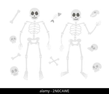 Halloween party illustration with human skeletons. Set of vector skulls and bones. Scary design for Autumn Samhain party. All saints day elements coll Stock Vector