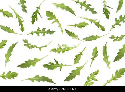 Many green arugula leaves falling on white background Stock Photo