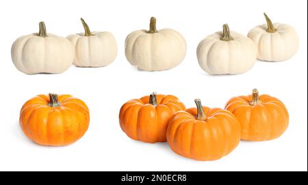 Different fresh pumpkins on white background Stock Photo - Alamy