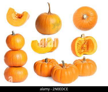Set of fresh pumpkins on white background Stock Photo