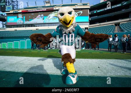 Philadelphia Eagles mascot Swoop performs during the Eagles Send Off Party  for Super Bowl LVII, Sunday, Feb. 5, 2023, in Philadelphia. (AP Photo/Chris  Szagola Stock Photo - Alamy