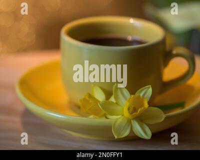 A closeup view of a cup of coffee served with yellow daffodil flowers Stock Photo