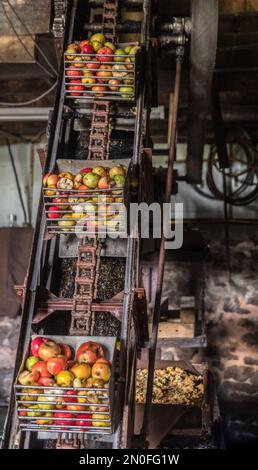 Séance de pressage des pommes Stock Photo