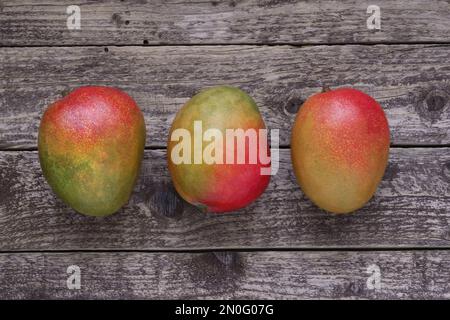 Mango fruits on wooden background, table top view. Three ripe mangoes laid in row on dark wooden board, photo directly from above. Stock Photo