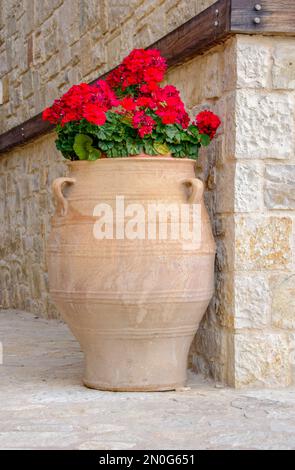 Red geranium in a big ceramic pot as exterior decoration Stock Photo