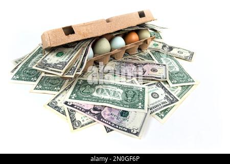 Concept increasing cost of eggs. Farm fresh eggs in a carton surrounded by american money Stock Photo