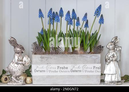 easter decoration with grape hyacinths and easter bunnies Stock Photo