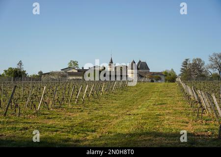 Wine Estate Chateau Carignan, castle, Carignan de Bordeaux, France. Stock Photo