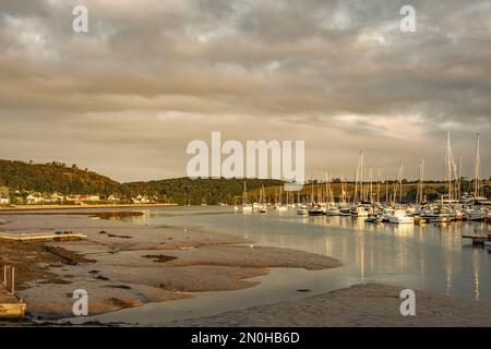 Colourful summer sunrise in the marina at Owenabue river estuary with anchored sailing boats. Crosshaven, co. Cork, Ireland Stock Photo