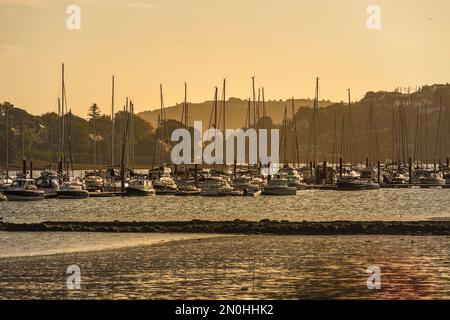 Colourful summer sunrise in the marina at Owenabue river estuary with anchored sailing boats. Crosshaven, co. Cork, Ireland Stock Photo