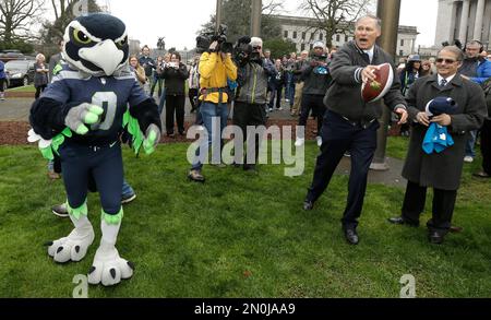 Seattle seahawks mascot blitz hi-res stock photography and images - Alamy