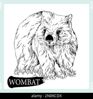 Original Wombat drawing  Katherine Charlton Art