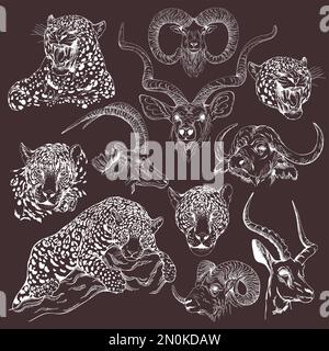 Set of hand drawn sketch style animals isolated on dark background. Vector illustration. Stock Vector
