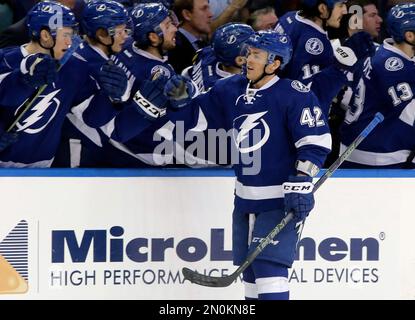 Tampa Bay Lightning center Jonathan Marchessault (42) before an NHL hockey  game against the New York Islanders Saturday, Nov. 28, 2015, in Tampa, Fla.  (AP Photo/Chris O'Meara Stock Photo - Alamy