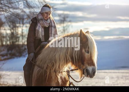 A young equestrian teenage girl rides on her haflinger horse through the snow in the evening during sundown in front of a snowy rural winter landscape Stock Photo