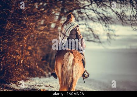 A young equestrian teenage girl rides on her haflinger horse through the snow in the evening during sundown in front of a snowy rural winter landscape Stock Photo