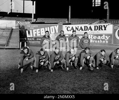 Tuffy leemans in game Stock Photo Alamy