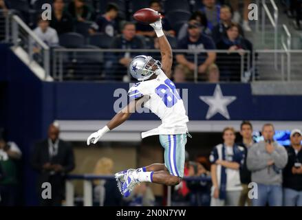 Dallas Cowboys wide receiver Dez Bryant (88) makes a great catch on the  sidelines as he is tackled by New York Giants cornerback Prince Amukamara  (20) inside the one yard line in