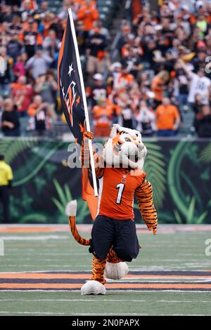 Cincinnati Bengals rookies visit WPAFB > Wright-Patterson AFB