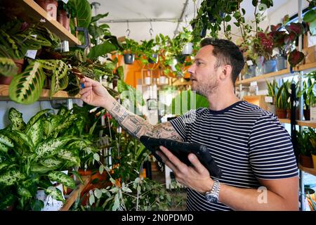 Man with tattoos working in flower shop checking stock using a tablet Stock Photo