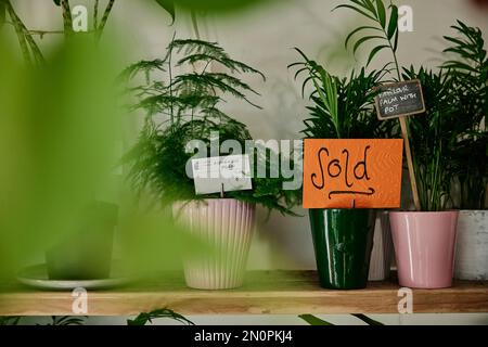 Plants for sale in plant shop, one showing a Sold sign Stock Photo