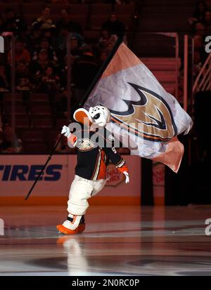 Anaheim Ducks mascot, Wild Wing, does a few victory laps on the ice after  the Ducks beat the Detroit Red Wings during game six of the NHL Western  Conference Finals in Anaheim