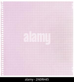 Checked spiral notebook page paper background, old aged pink chequered ring binder sheet flat lay copy space, vertical squared pattern maths notepad Stock Photo