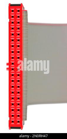 IDE connector plug in red, flat grey ribbon interface cable for PC computer HDD hard disk drive, large detailed isolated vertical macro closeup Stock Photo