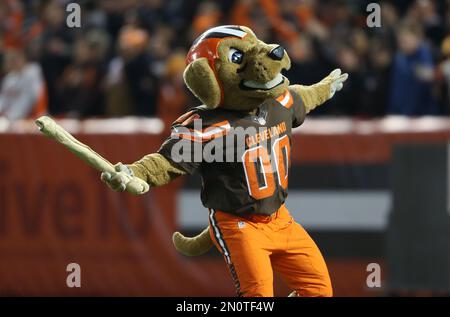 Cleveland Brown Mascot Chomps Nfl International Editorial Stock