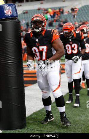 Cincinnati Bengals' defensive tackle Geno Atkins, 97, takes part in an NFL  practice session at the Allianz Park stadium in north London, Friday, Oct.  25, 2019. The Cincinnati Bengals are preparing for