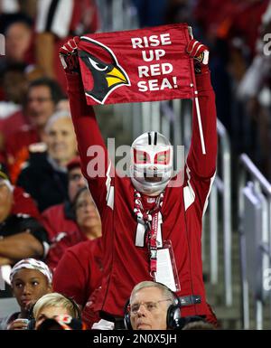 Vintage Arizona Cardinals Shirt Rise Up Red Sea Arizona Cardinals