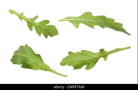 Set of green arugula leaves on white background Stock Photo