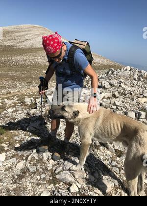 ULUDAG, BURSA, TURKEY - SEPTEMBER 20: Mountaineer and wild dog at Uludag National Park on September 20, 2017 in Bursa, Turkey. Uludag is the highest mountain in Marmara Region. Stock Photo