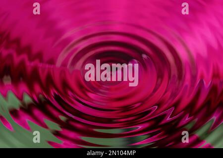 reflected red gerber daisy rippled waves sending its love round the water Stock Photo