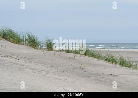 Sand dunes and ocean waves on Stone Harbor, New Jersey Beach. Stock Photo