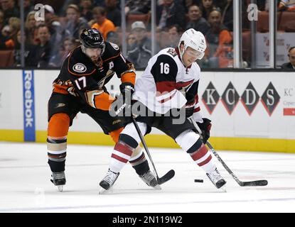 NHL player profile photo on Arizona Coyotes' Oliver Ekman-Larsson, from  Sweden, at a game against the Calgary Flames in Calgary, Alberta on Jan. 7,  2016. (Larry MacDougal via AP Stock Photo - Alamy