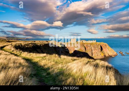 Dunottar Castle, in its position on the cliffs, in evening light, with a path through sunswept grasses. Stock Photo