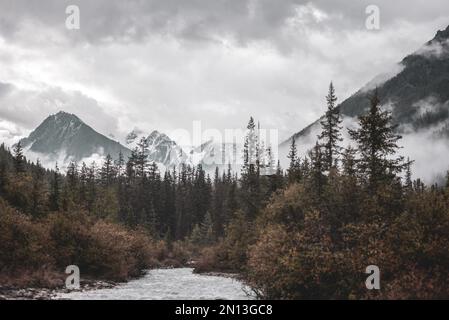 Morning mist over spruce forests in the mountains and the river envelops the tops of rocks with glaciers and snow in thunderclouds. Stock Photo