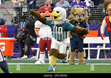 Philadelphia Eagles mascot Swoop, dressed as Batman, looks on during the  NFL football game against the Jacksonville Jaguar, Sunday, Oct. 2, 2022, in  Philadelphia. (AP Photo/Chris Szagola Stock Photo - Alamy