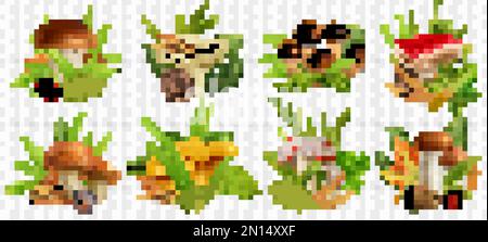 Mushrooms realistic transparent set with autumn symbols isolated vector illustration Stock Vector