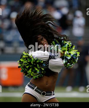 Olympia Area Sea Gals Cheer On Seahawks - ThurstonTalk