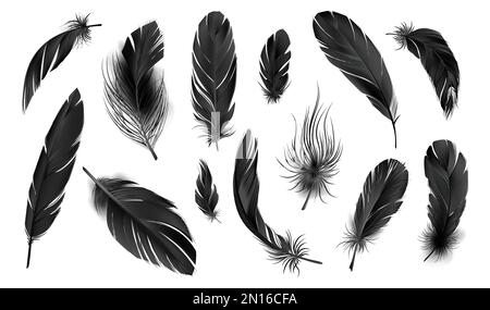 Set with isolated monochrome images of realistic feathers of bird colored in black on blank background vector illustration Stock Vector